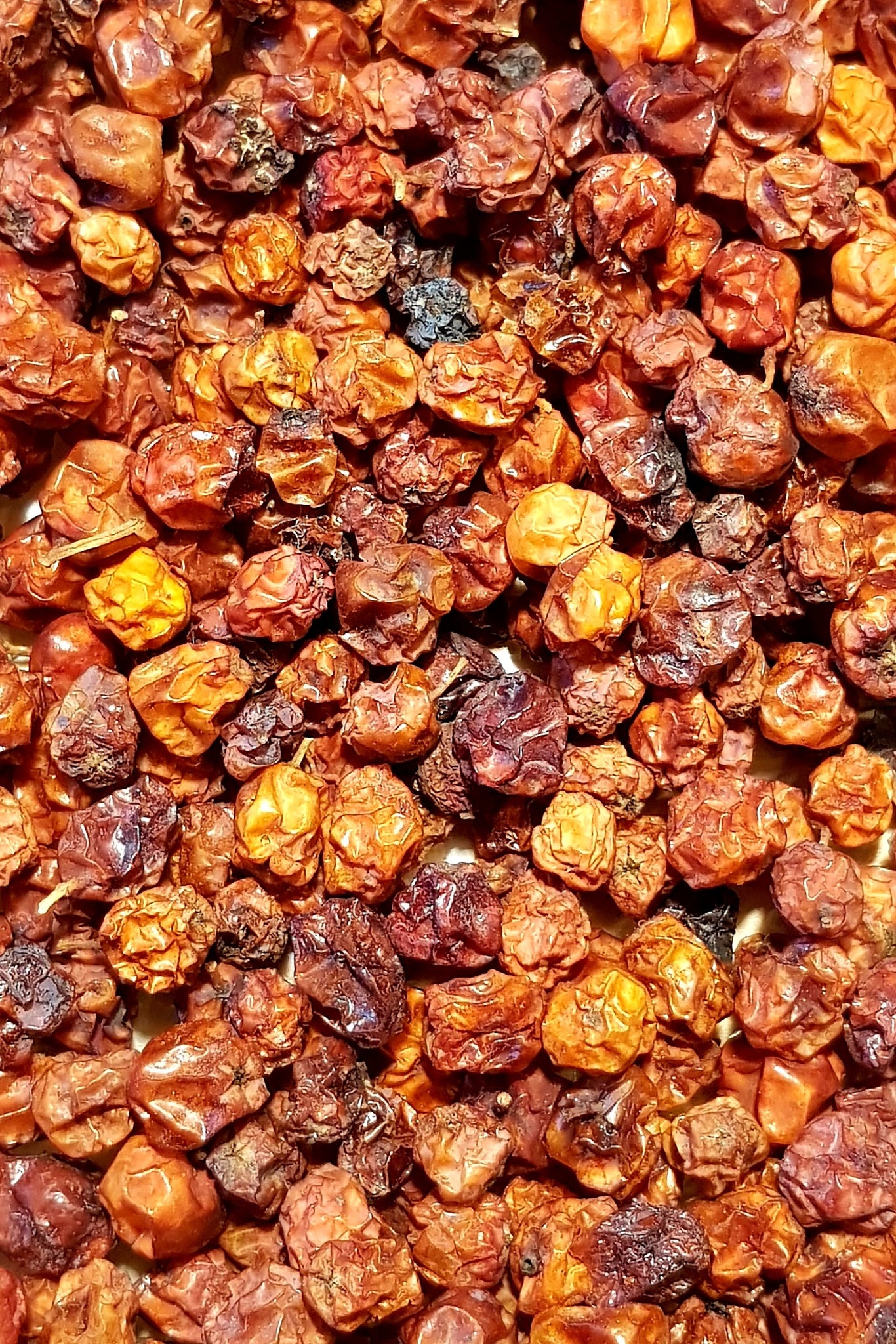 Ebereschenbeeren (ganz)