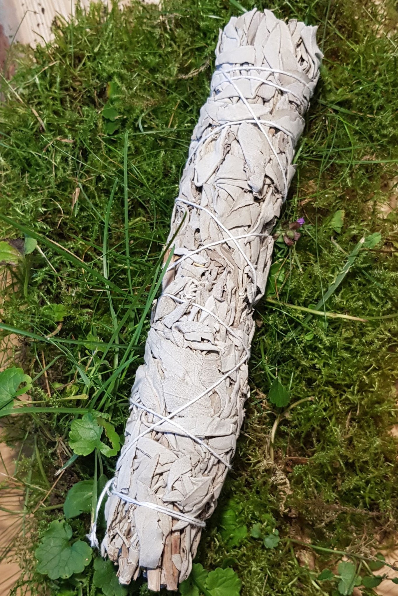 Salbeibündel